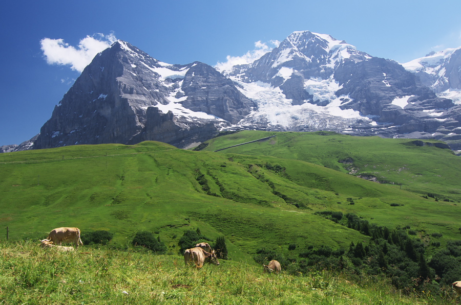 IMGP1600.jpg(394575 byte)