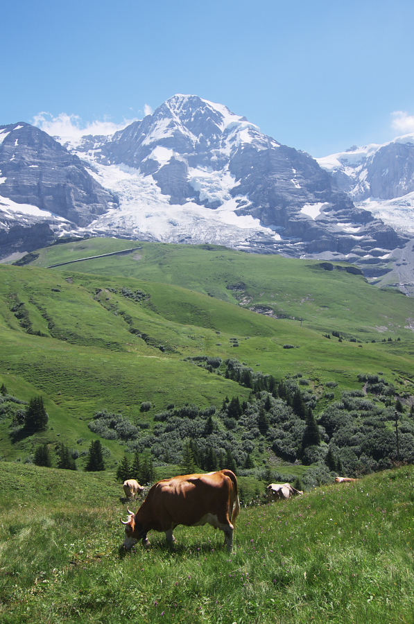 IMGP1603.jpg(410465 byte)