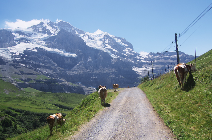 IMGP1604.jpg(387498 byte)