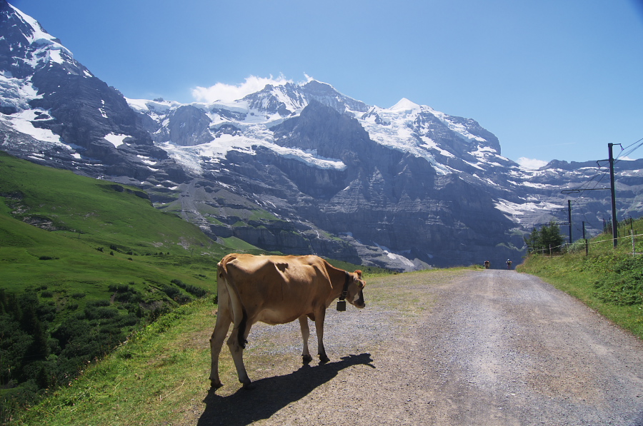 IMGP1605.jpg(372865 byte)