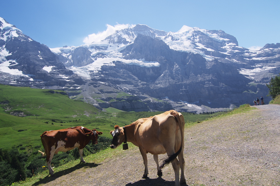 IMGP1609.jpg(381118 byte)