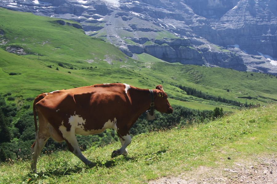 IMGP1611.jpg(430993 byte)