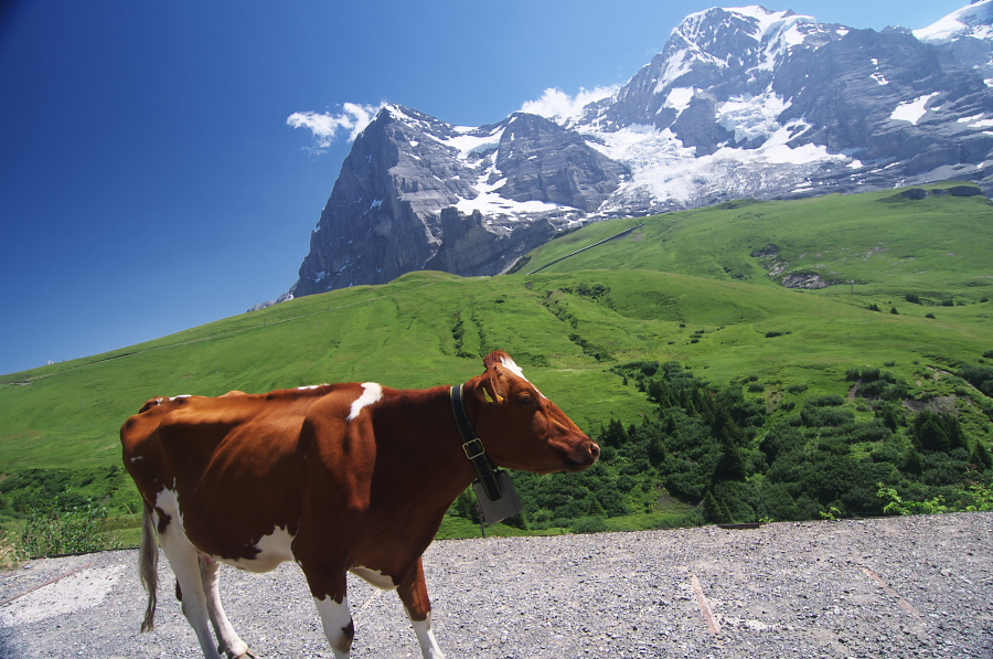 IMGP1617.jpg(383680 byte)