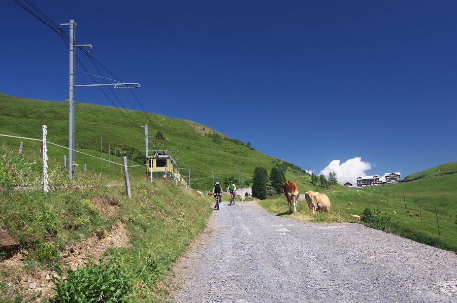 IMGP1621.jpg(359367 byte)