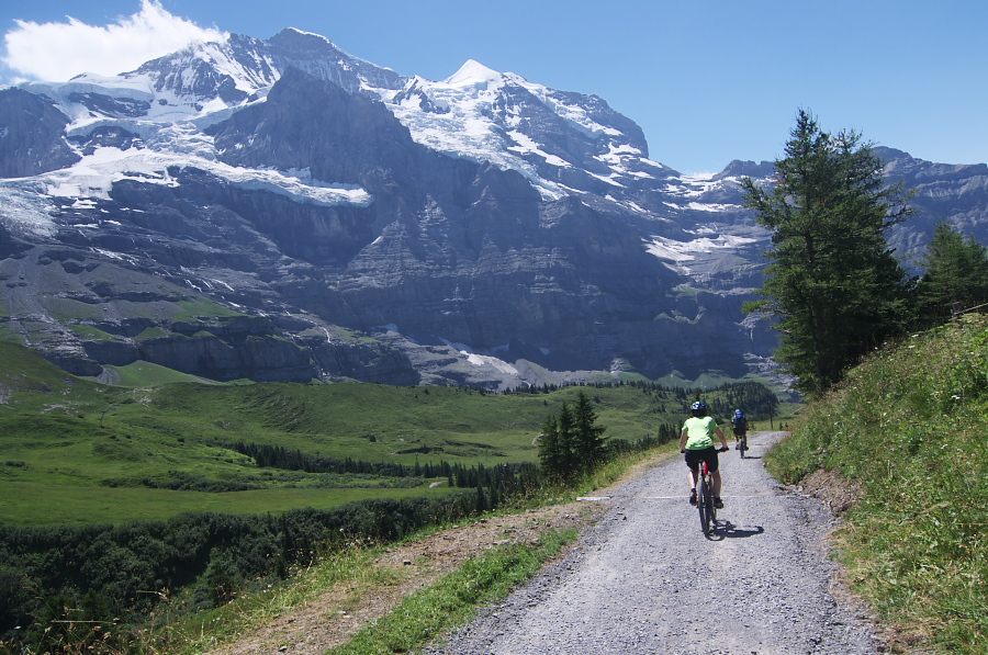 IMGP1622.jpg(420483 byte)