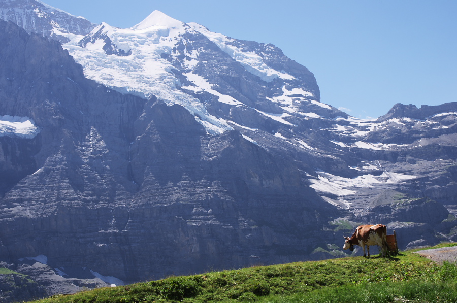 IMGP1631.jpg(339951 byte)