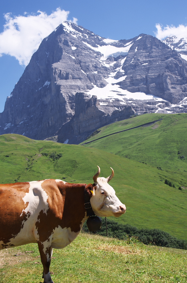 IMGP1634.jpg(381573 byte)