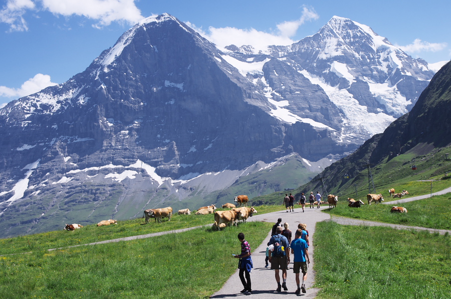 IMGP1716.jpg(416275 byte)