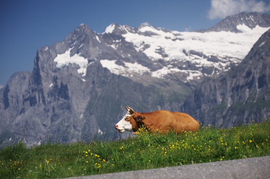 IMGP1739.jpg(288835 byte)