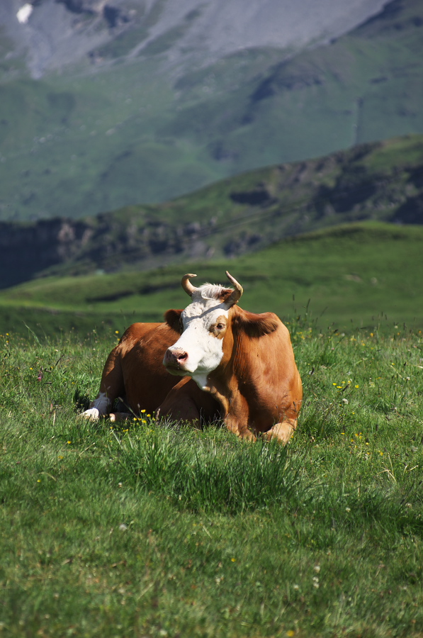 IMGP1743.jpg(310511 byte)