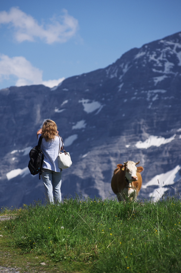 IMGP1746.jpg(274702 byte)