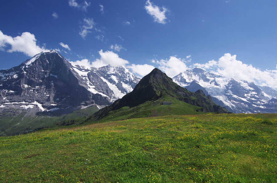 IMGP1791.jpg(396146 byte)