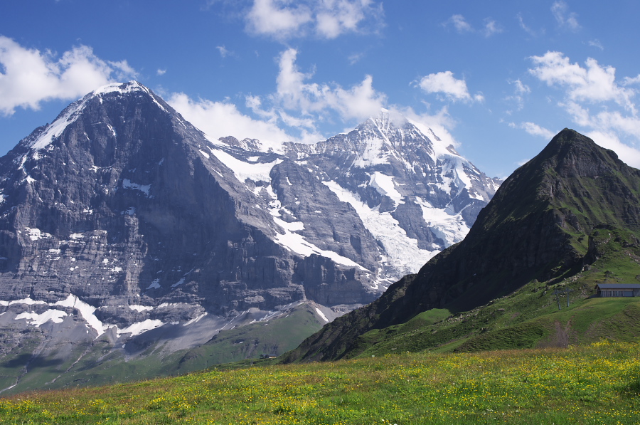 IMGP1796.jpg(385352 byte)