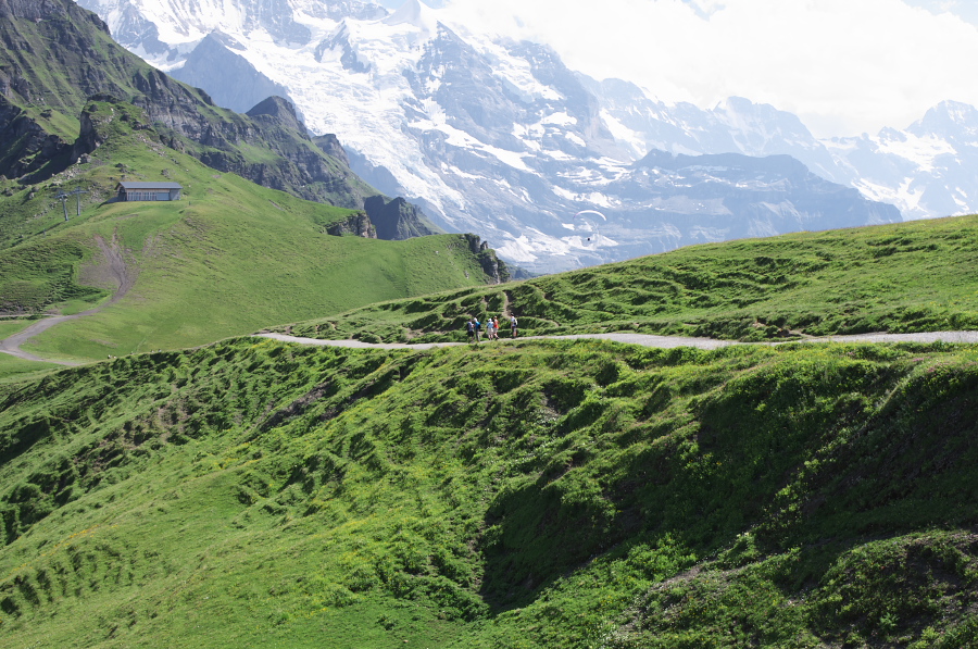 IMGP1813.jpg(469959 byte)