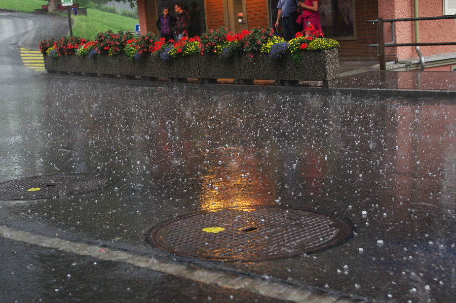 IMGP1891.jpg(432853 byte)