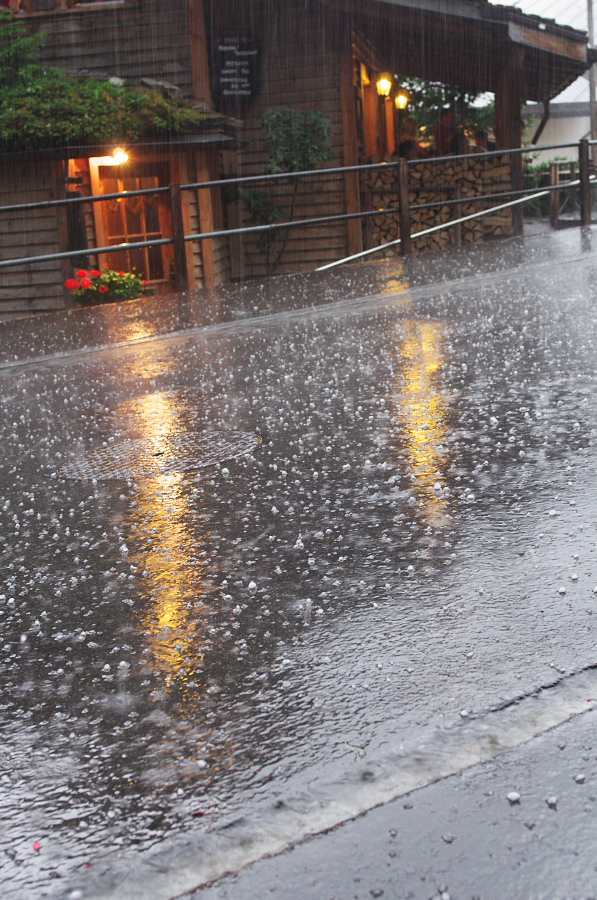 IMGP1900.jpg(453234 byte)