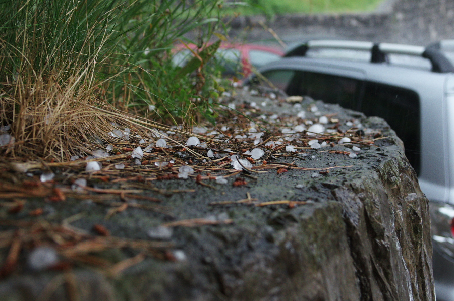 IMGP1902.jpg(387546 byte)