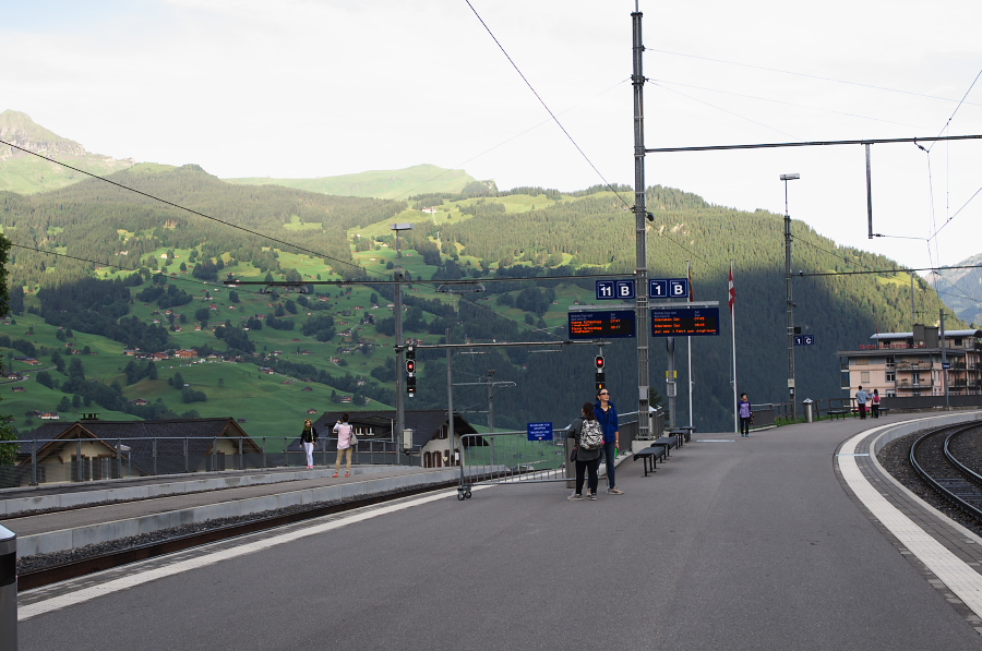 IMGP1909.jpg(296628 byte)