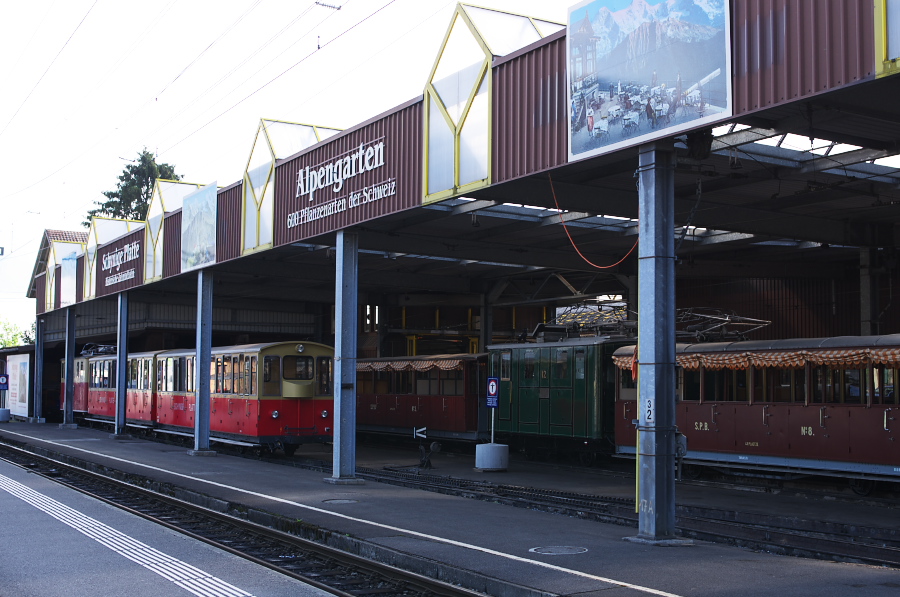 IMGP1919.jpg(313035 byte)