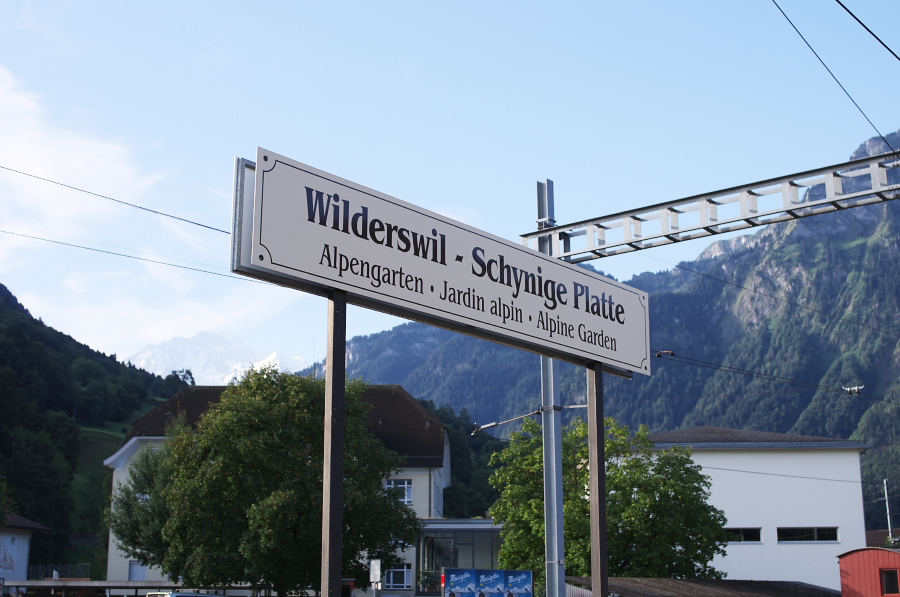 IMGP1921.jpg(262026 byte)