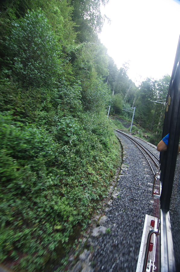 IMGP1968.jpg(451626 byte)