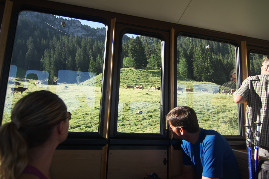 IMGP1993.jpg(319388 byte)