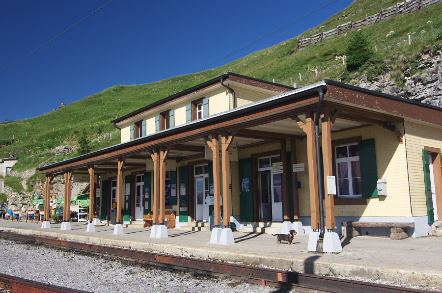 IMGP2023.jpg(398457 byte)