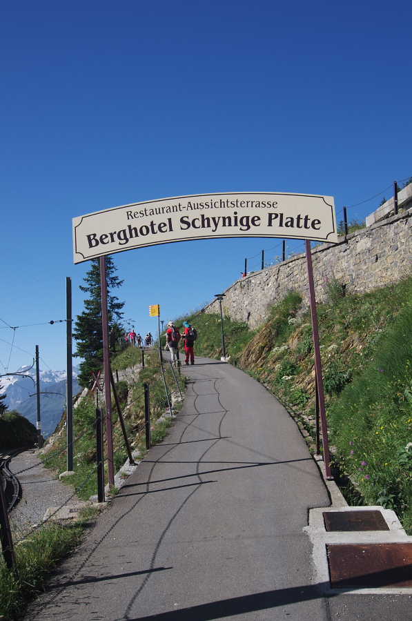 IMGP2027.jpg(329777 byte)