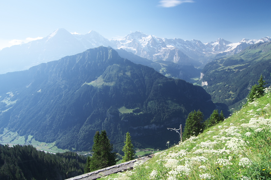 IMGP2032.jpg(337517 byte)