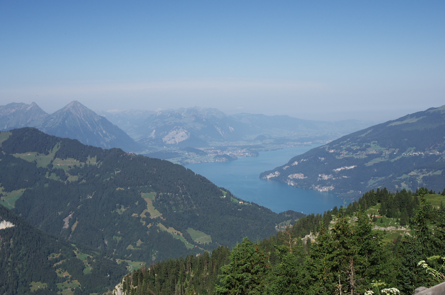 IMGP2084.jpg(270357 byte)