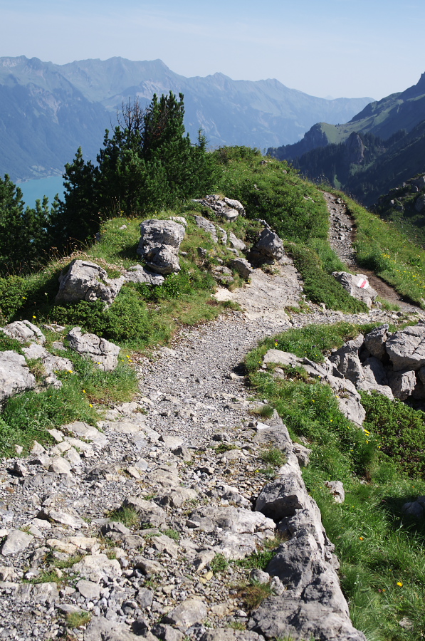 IMGP2148.jpg(520505 byte)