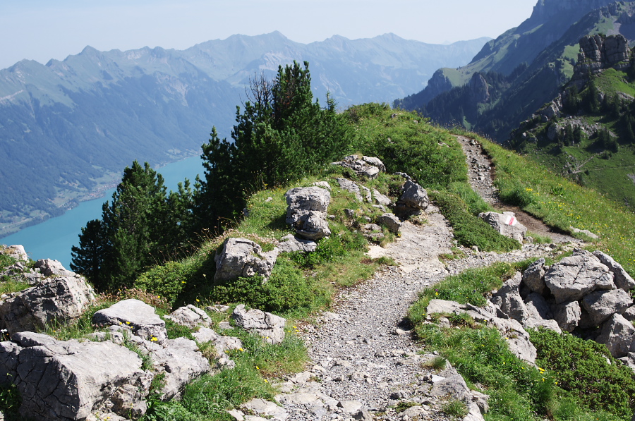 IMGP2149.jpg(493641 byte)