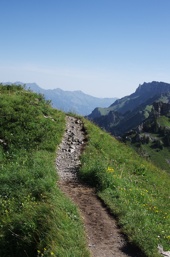 IMGP2150.jpg(410336 byte)