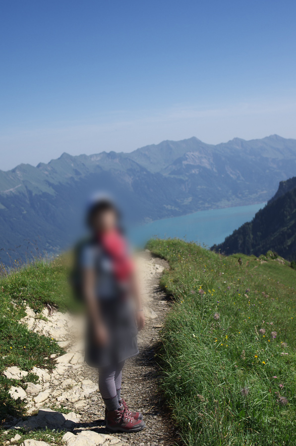 IMGP2154.jpg(317697 byte)