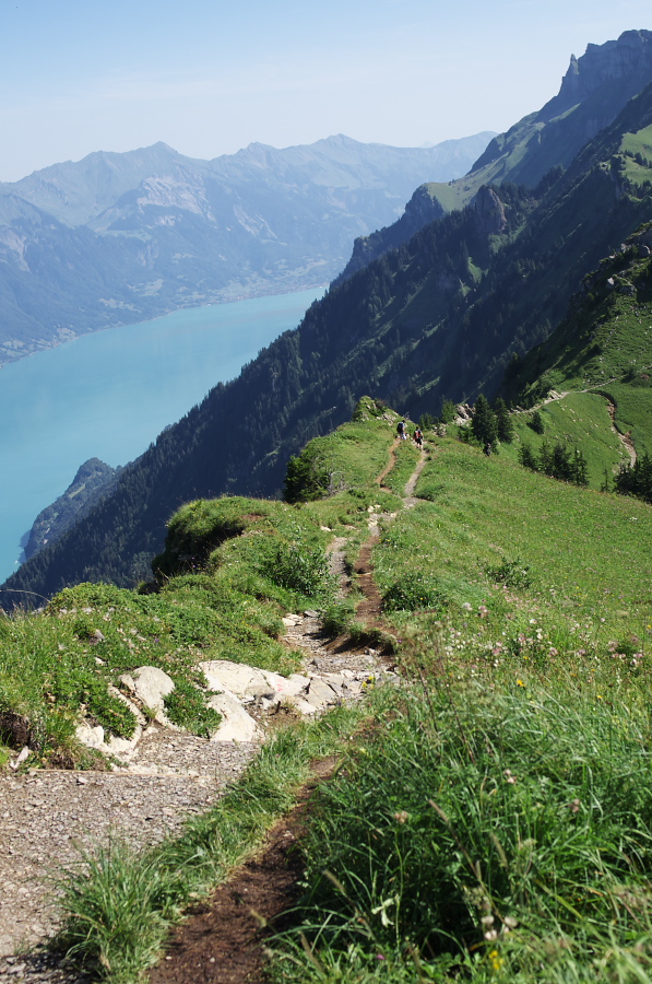 IMGP2156.jpg(422166 byte)