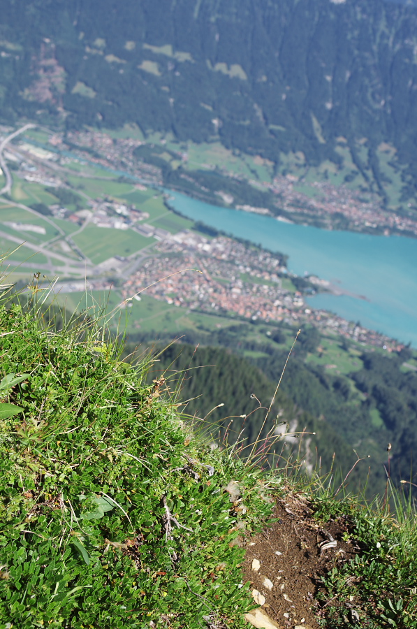 IMGP2160.jpg(432589 byte)