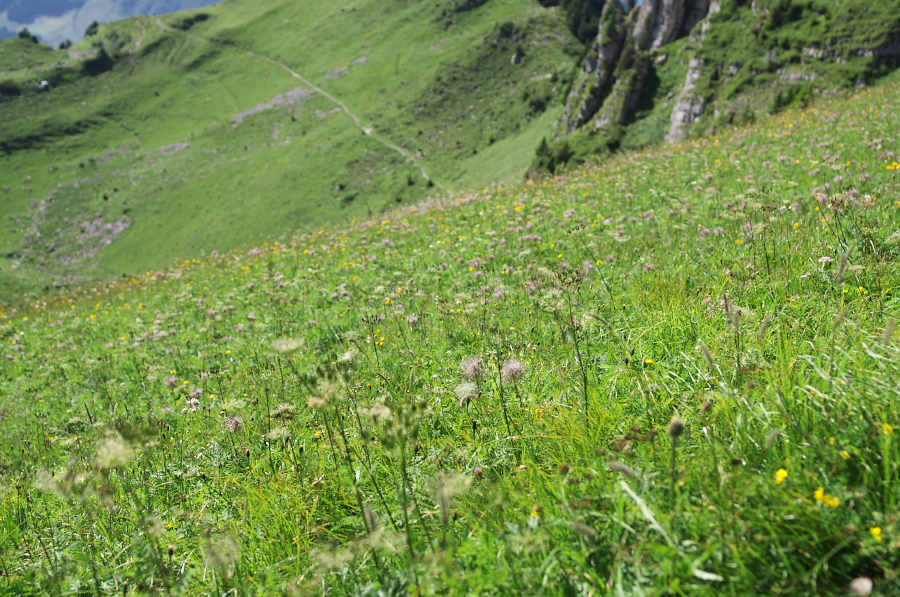 IMGP2161.jpg(504398 byte)