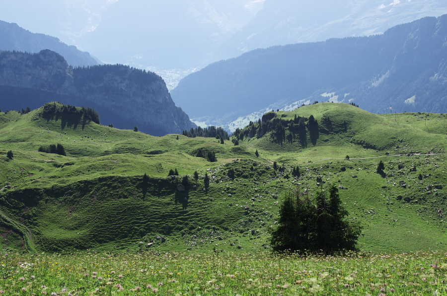 IMGP2164.jpg(415992 byte)