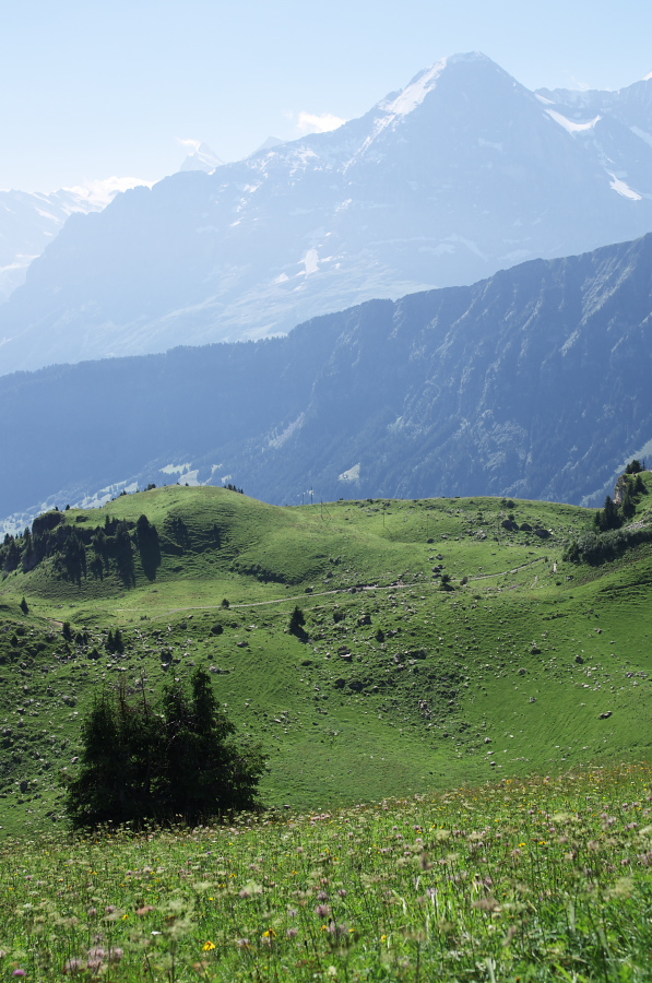 IMGP2166.jpg(363822 byte)