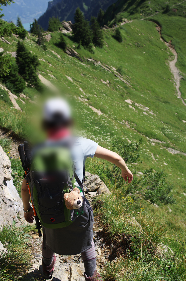 IMGP2167.jpg(431580 byte)