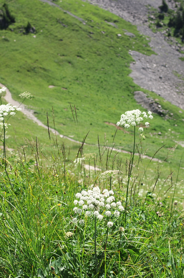 IMGP2176.jpg(454047 byte)