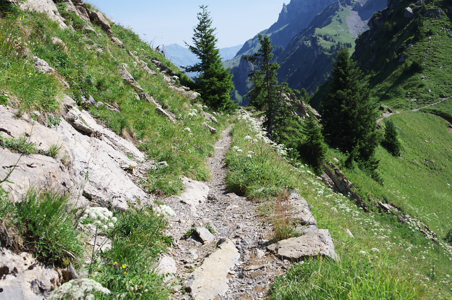 IMGP2177.jpg(574867 byte)