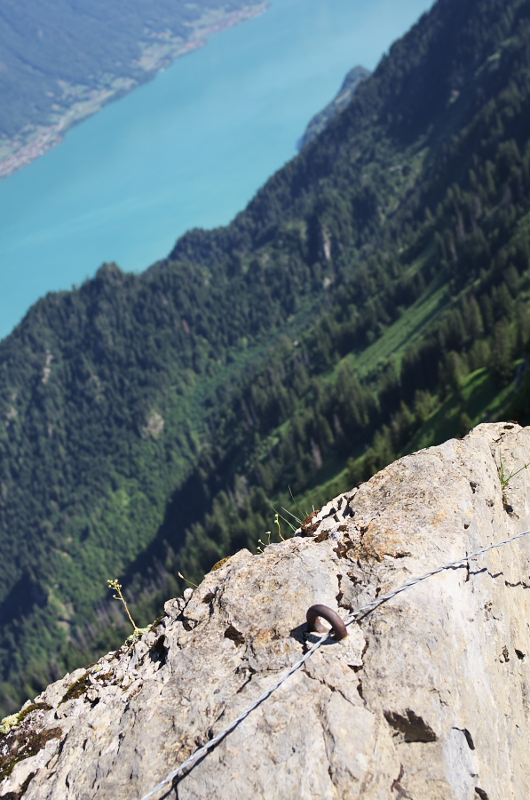 IMGP2179.jpg(306354 byte)