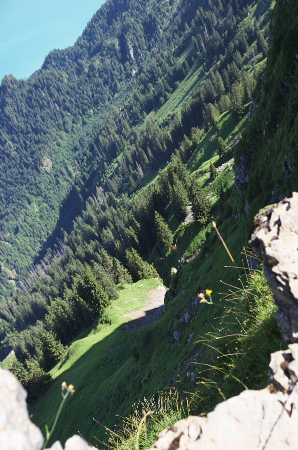 IMGP2180.jpg(465949 byte)