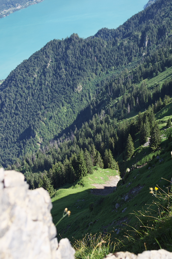 IMGP2183.jpg(416116 byte)