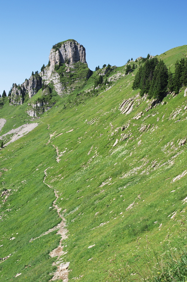 IMGP2186.jpg(479310 byte)