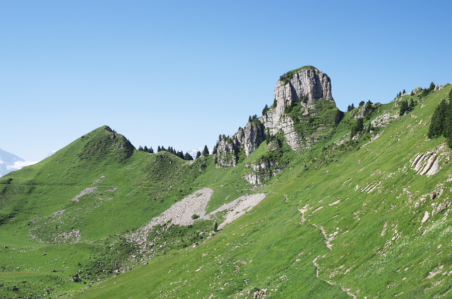 IMGP2187.jpg(372053 byte)