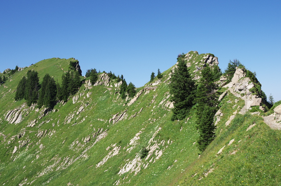 IMGP2193.jpg(423526 byte)