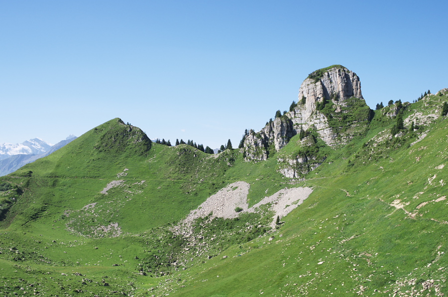 IMGP2195.jpg(370382 byte)