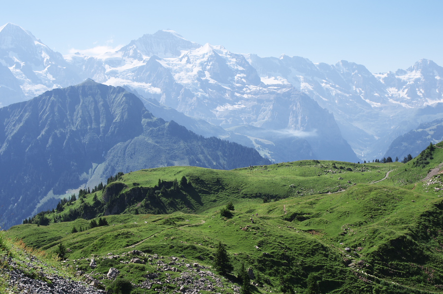 IMGP2196.jpg(375902 byte)